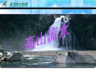 安徽：湿地为迁徙候鸟提供“生态驿站”
